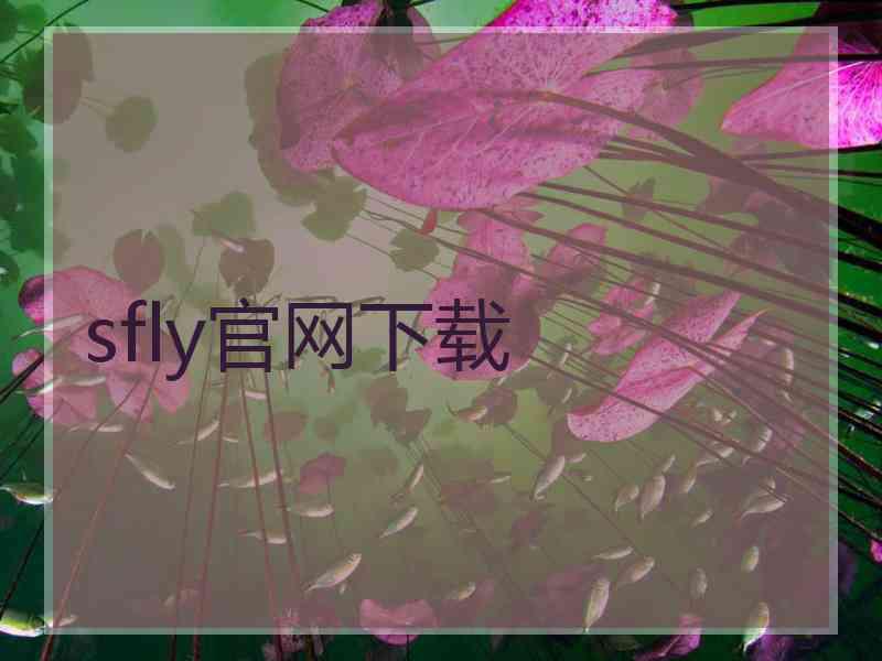 sfly官网下载