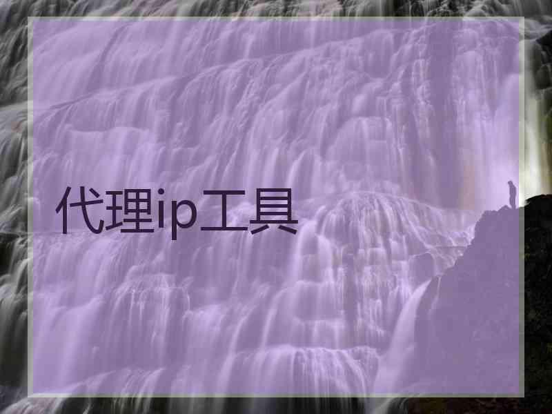 代理ip工具