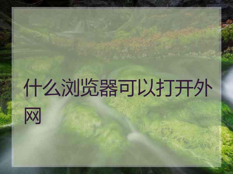 什么浏览器可以打开外网