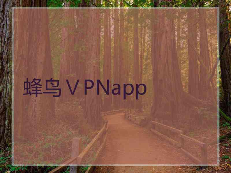 蜂鸟ⅤPNapp