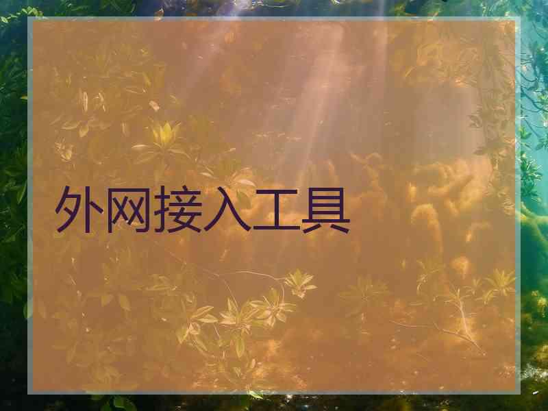 外网接入工具