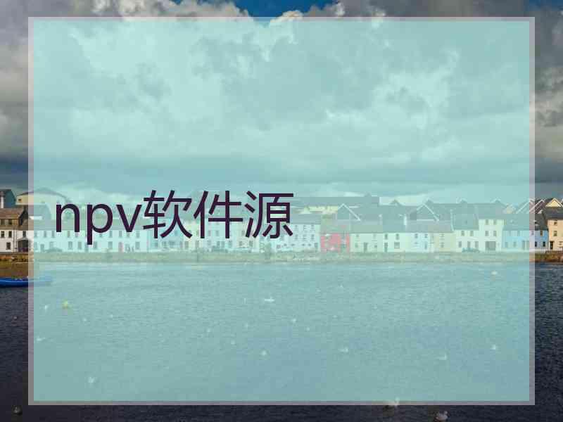 npv软件源
