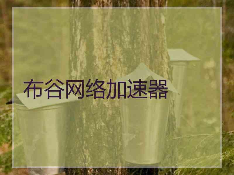 布谷网络加速器