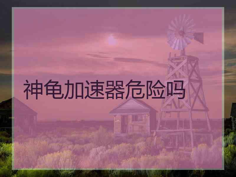 神龟加速器危险吗
