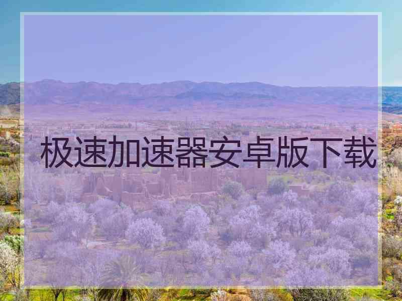 极速加速器安卓版下载