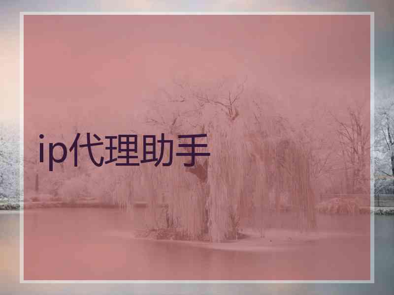 ip代理助手