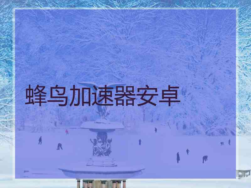 蜂鸟加速器安卓