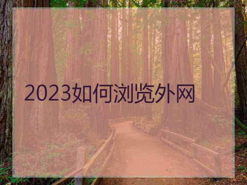 2023如何浏览外网