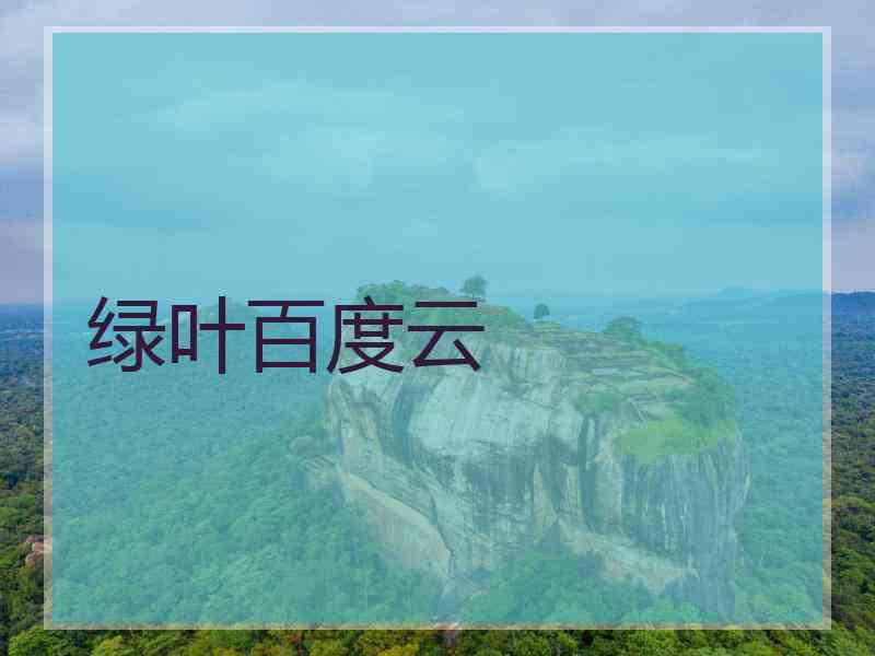绿叶百度云