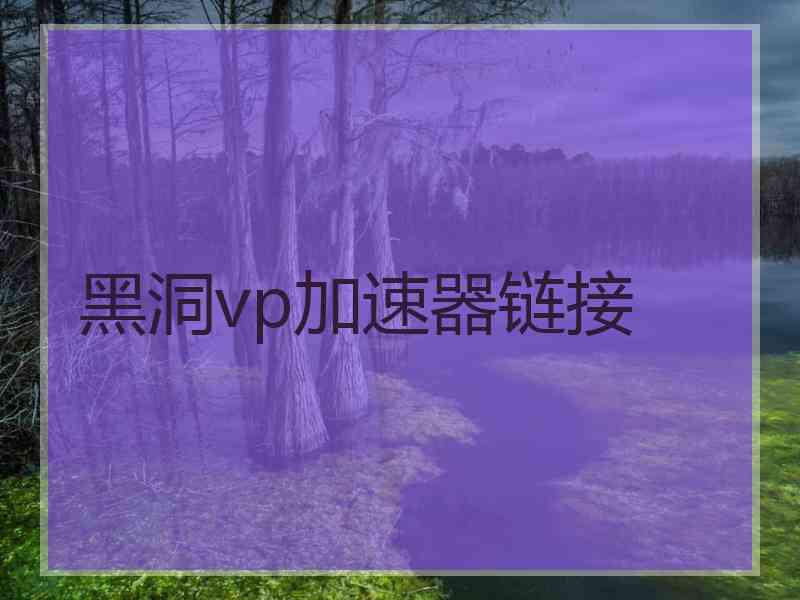 黑洞vp加速器链接