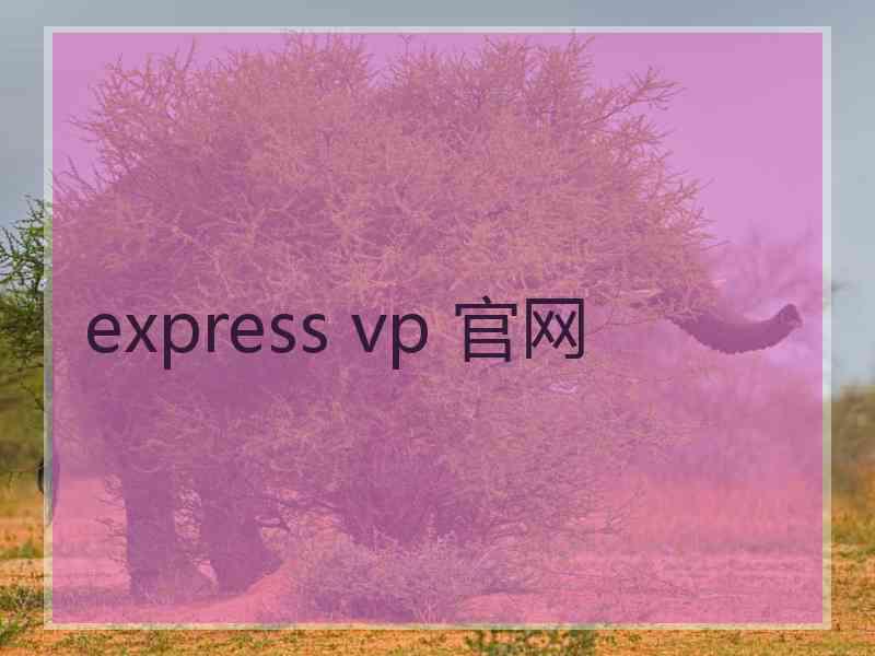 express vp 官网