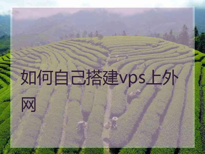 如何自己搭建vps上外网