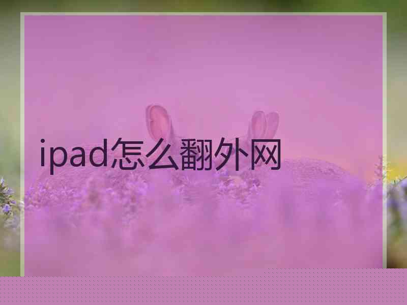 ipad怎么翻外网