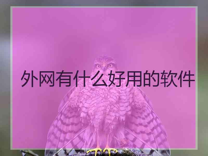 外网有什么好用的软件