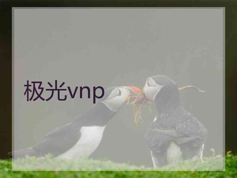 极光vnp