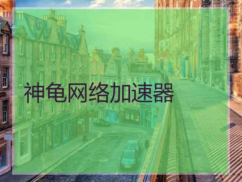 神龟网络加速器