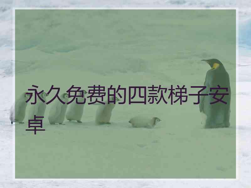 永久免费的四款梯子安卓