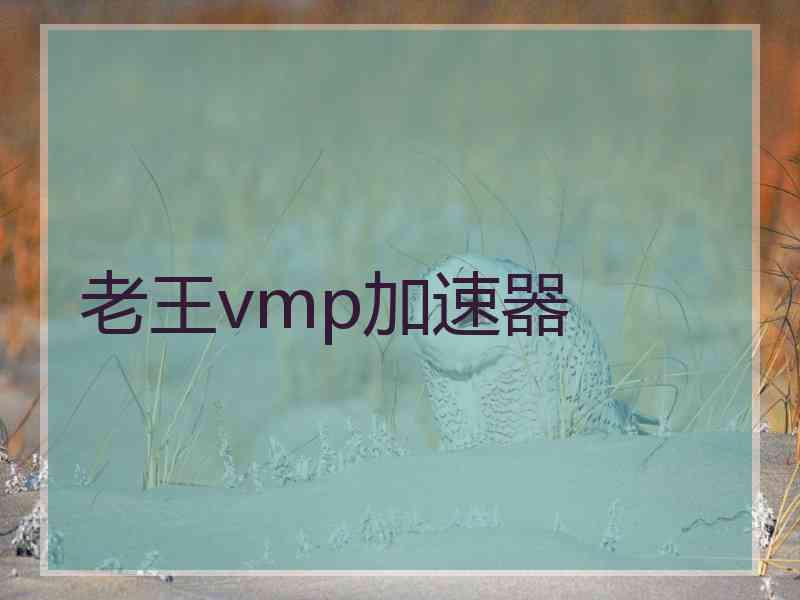 老王vmp加速器
