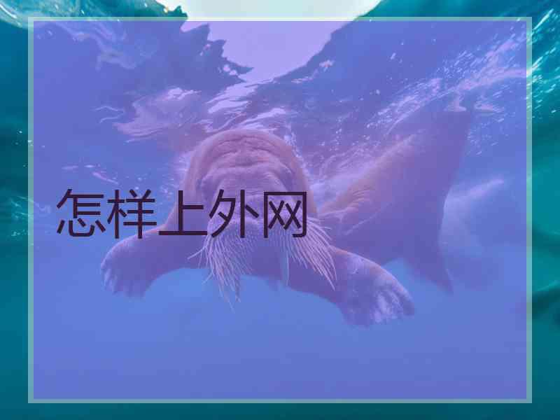 怎样上外网
