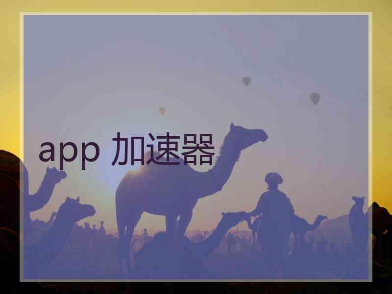 app 加速器