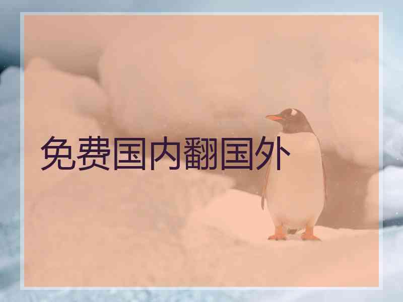 免费国内翻国外