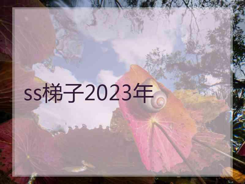 ss梯子2023年