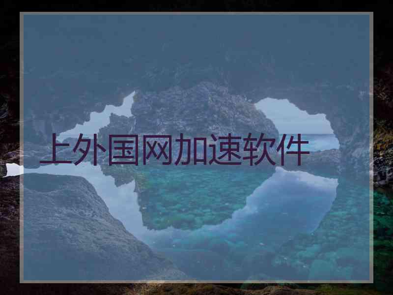 上外国网加速软件