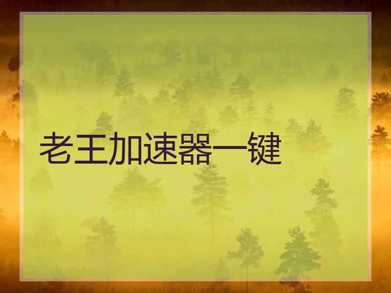 老王加速器一键