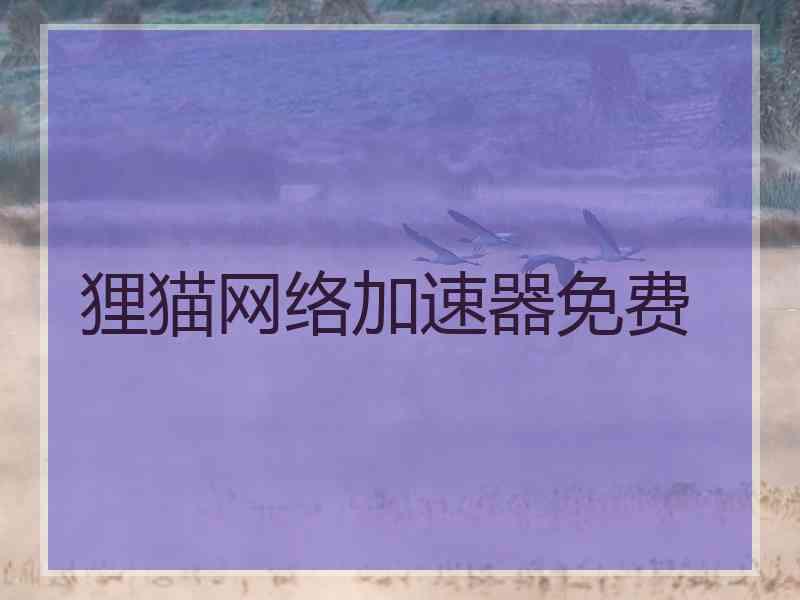 狸猫网络加速器免费