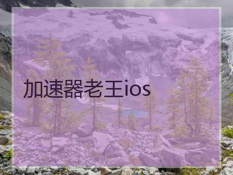 加速器老王ios