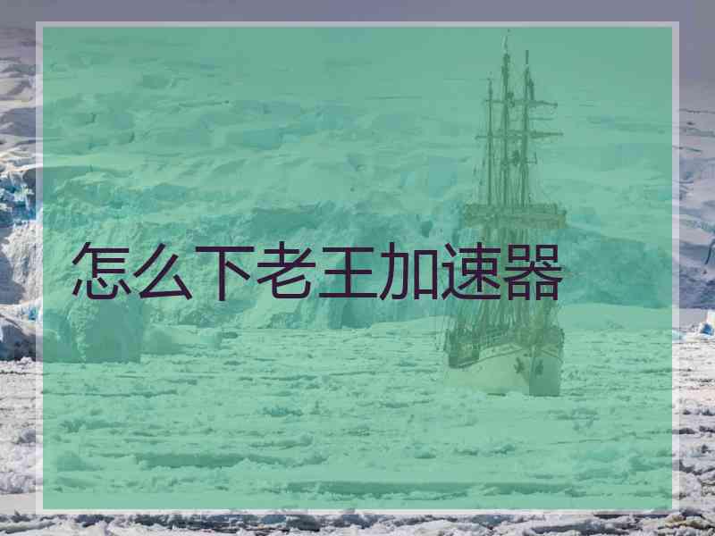 怎么下老王加速器