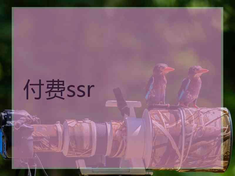 付费ssr