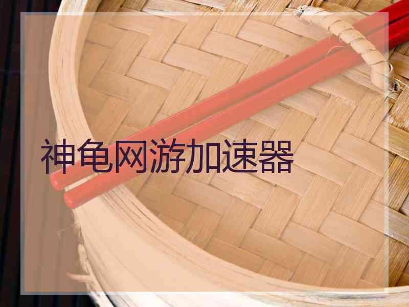 神龟网游加速器