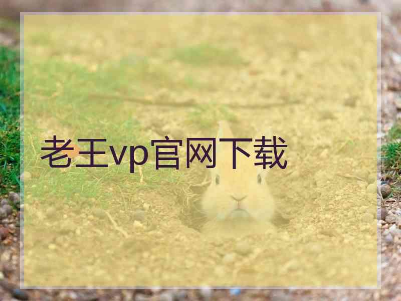 老王vp官网下载