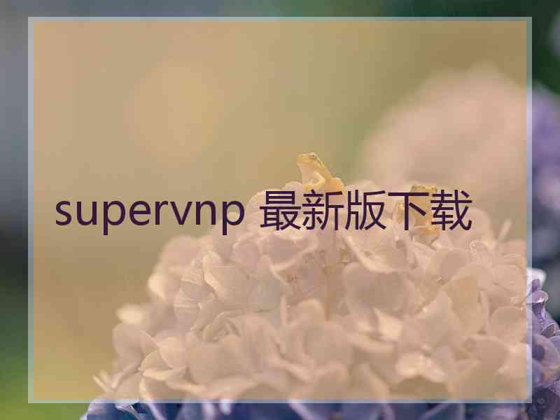 supervnp 最新版下载