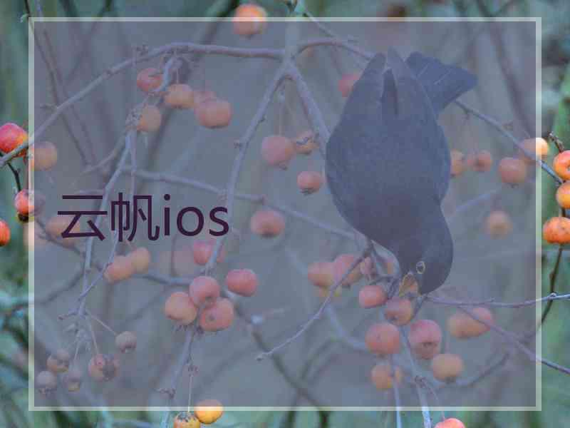 云帆ios