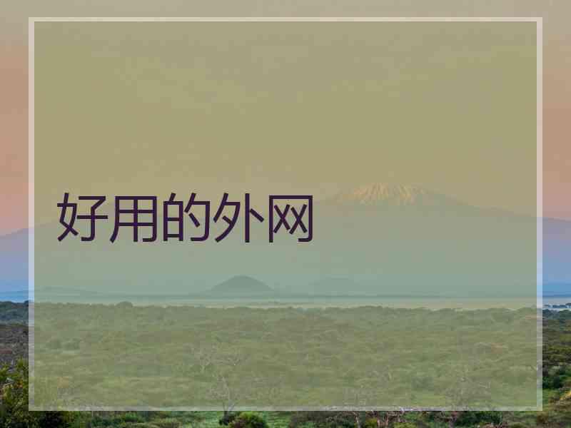 好用的外网