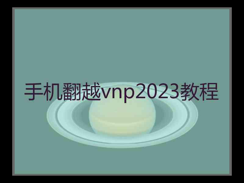 手机翻越vnp2023教程