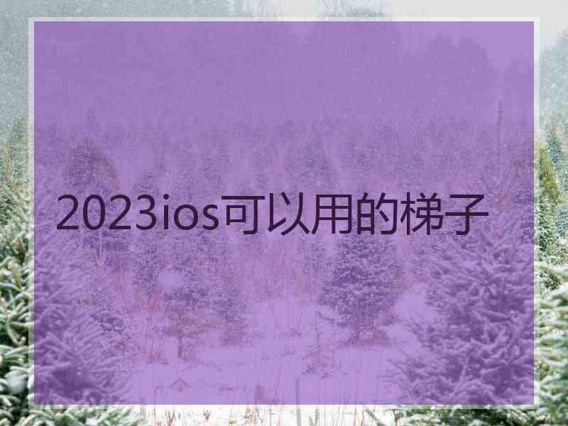 2023ios可以用的梯子