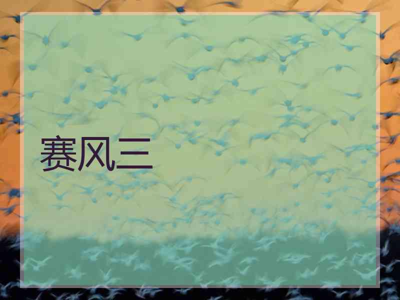 赛风三
