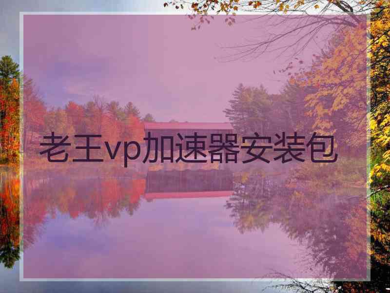 老王vp加速器安装包