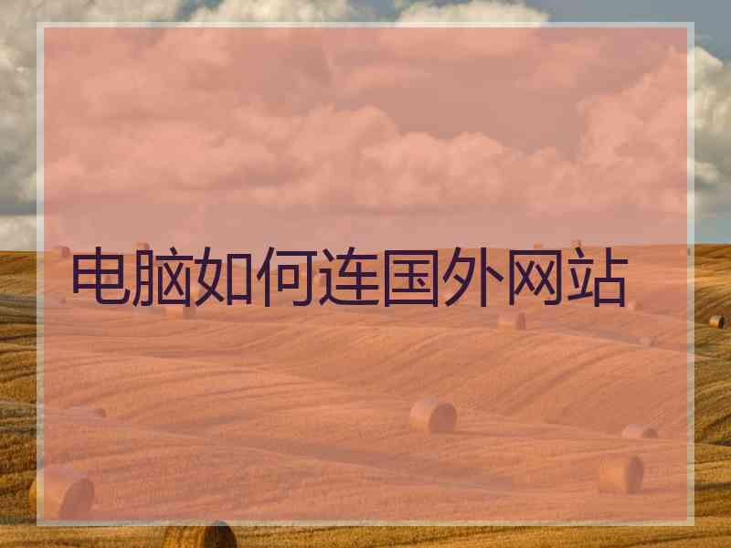 电脑如何连国外网站