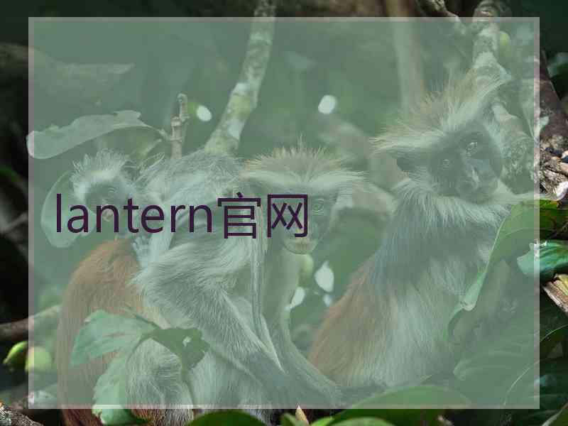 lantern官网