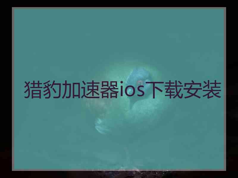 猎豹加速器ios下载安装