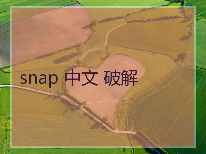 snap 中文 破解