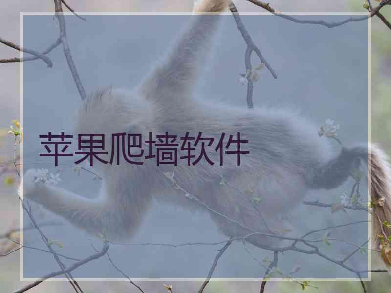 苹果爬墙软件