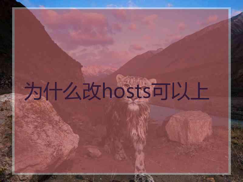 为什么改hosts可以上
