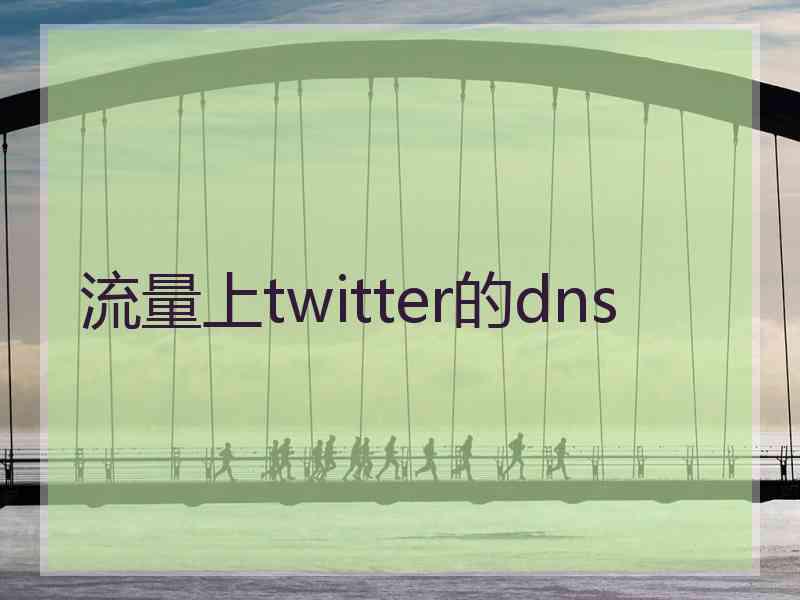 流量上twitter的dns