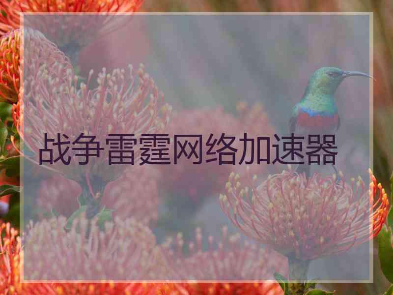 战争雷霆网络加速器