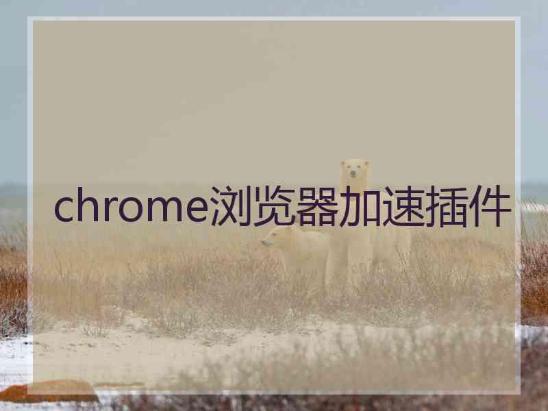 chrome浏览器加速插件